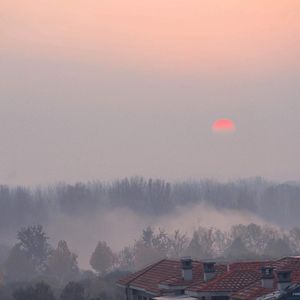 庶子求欢by云间最新章节更新
